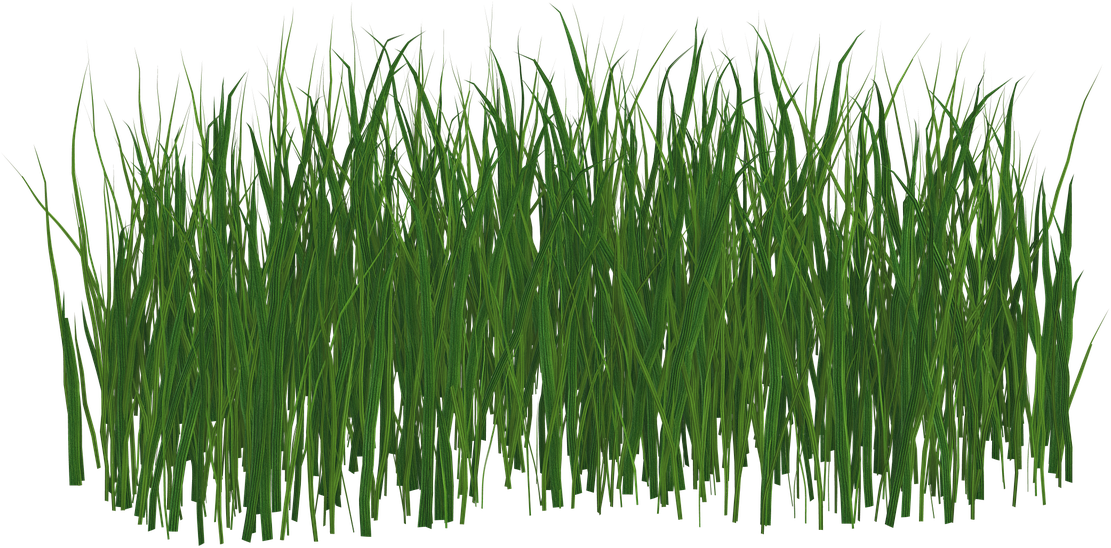 Grass Lawn Green Nature Summer Png Image - Lawn (1280x605)