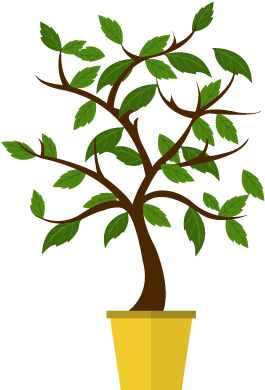 Professional Lawn Care Planting Tips - Ciclo De Vida Del Producto Y Matriz Bcg (450x450)