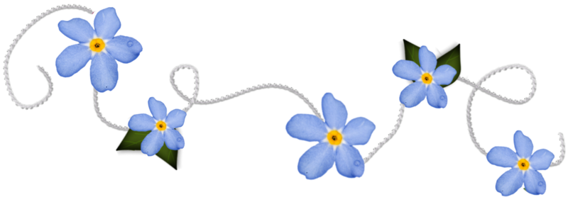 Forget Me Nots Dividers - Forget Me Nts Line Dividers (800x278)