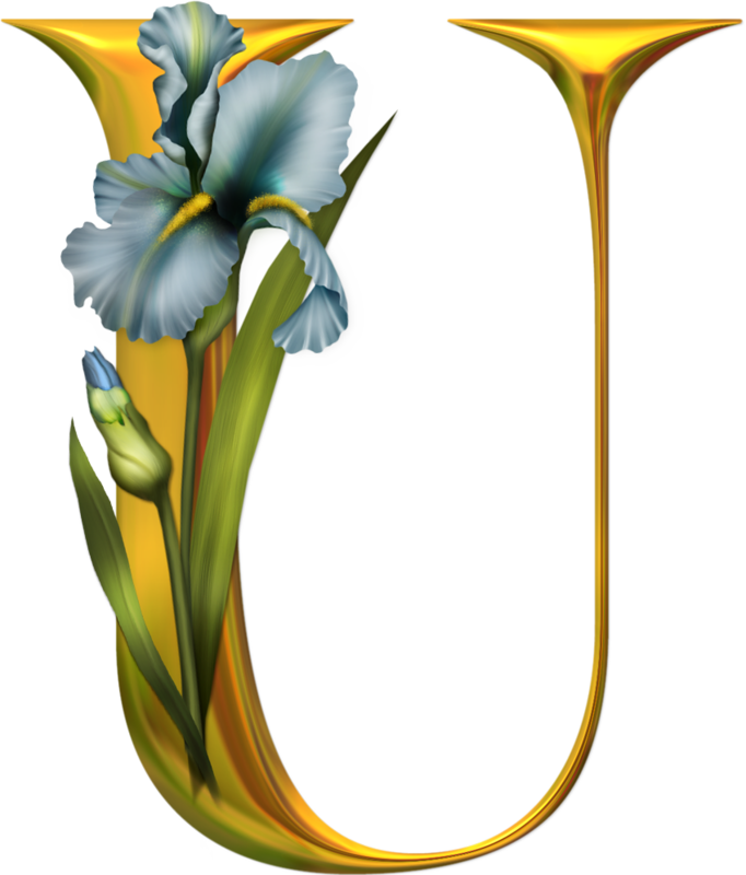 Яндекс - Фотки - Beautiful Images Of Alphabet U (682x800)