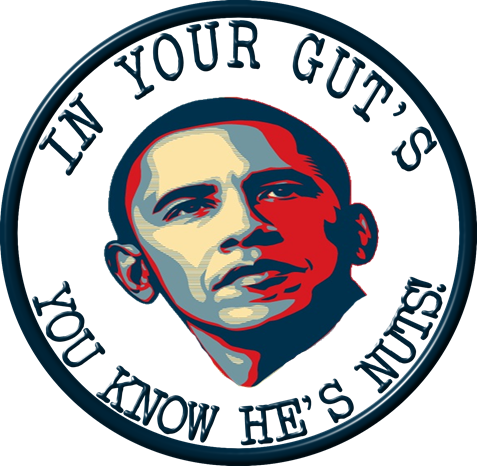 Wht Tee Obama Is Nuts - Thank You Obama Phone Case - Samsung Galaxy S4 (477x466)