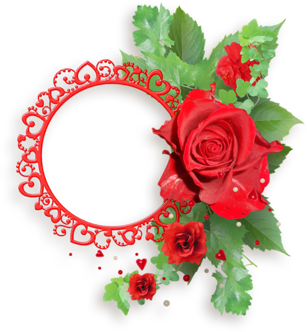 Forgetmenot Beach Rose Film Frame Clip Art - Forgetmenot Beach Rose Film Frame Clip Art (600x649)