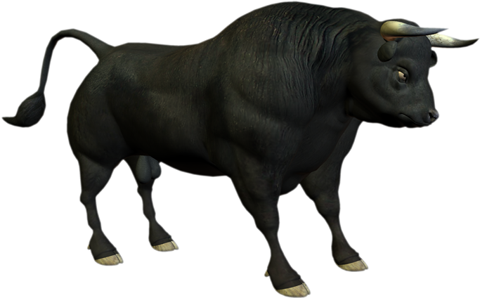Bull Angus Cattle Clip Art - Bull Angus Cattle Clip Art (800x600)