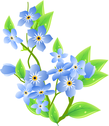 Forget Me Nots - Forget Me Nots Clipart Png (431x500)