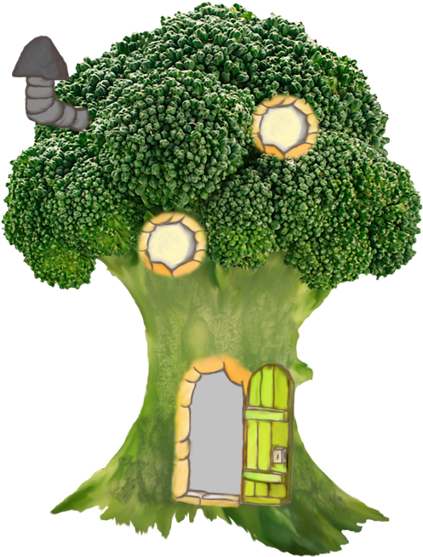Tree Clipartmushroom Housetree - Broccoli (592x800)