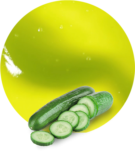 Cucumber Concentrate - Cucumber Transparent Png (536x595)