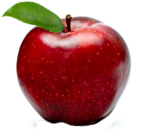 Things That Color Red - (597x597) Png Clipart Download