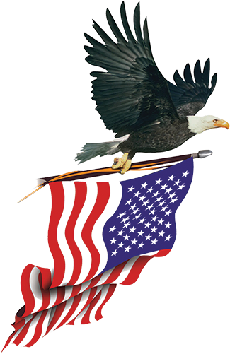 American Flag With Eagle - Eagle Carrying American Flag (450x532)