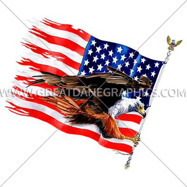 American Eagle With Flag - Printed T-shirt (385x385)