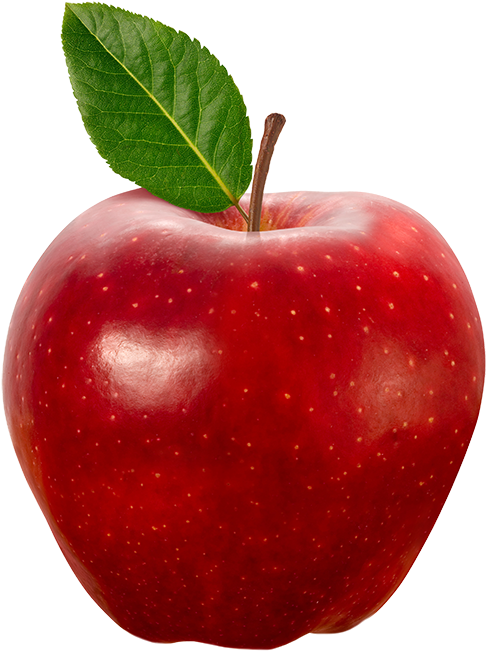 Memes That Don T Make Sense (600x695)