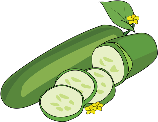 Cucumbers - Cucumber (1024x668)