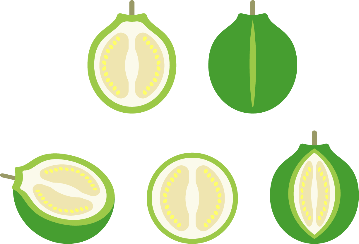 Lemon Euclidean Vector Icon - Lemon Euclidean Vector Icon (1226x834)