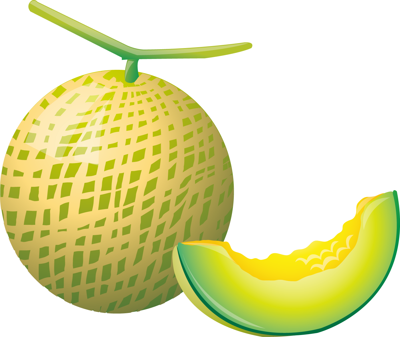 Cantaloupe Hami Melon Auglis - 哈密瓜 矢量 图 (1398x1178)