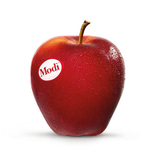 Modi Apple (679x623)