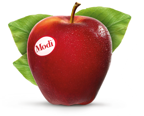 Modi Apple (477x385)