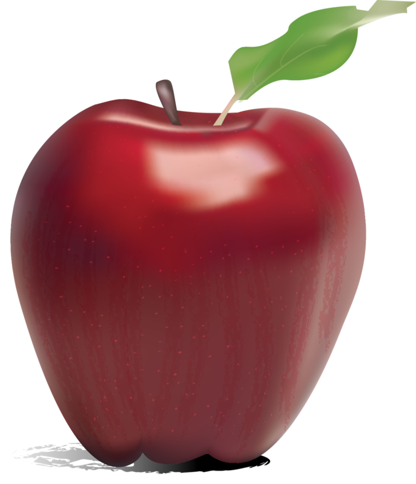 Illustrator Apple By Eriinleigh - Apple Image Without Background (829x964)