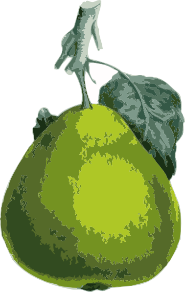 Water Melon Plant Clipart - Green Pear Shower Curtain (378x597)