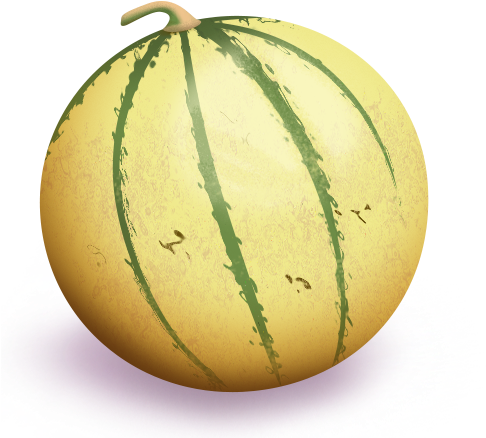 If You Do Not Like Certain Kinds Of Fruit, You Could - Cantaloupe (485x466)