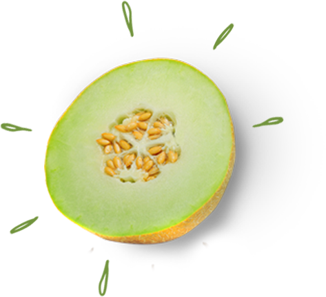 Honeymoon - Honeydew (473x431)