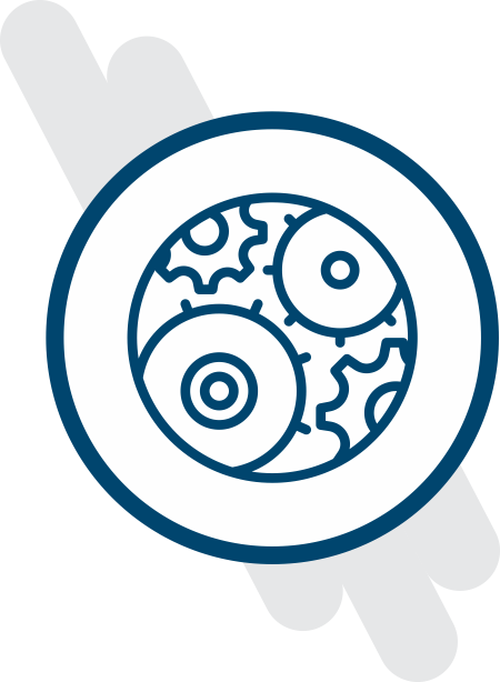 Some Organizations Believe That They Have Lost The - Circle (450x614)