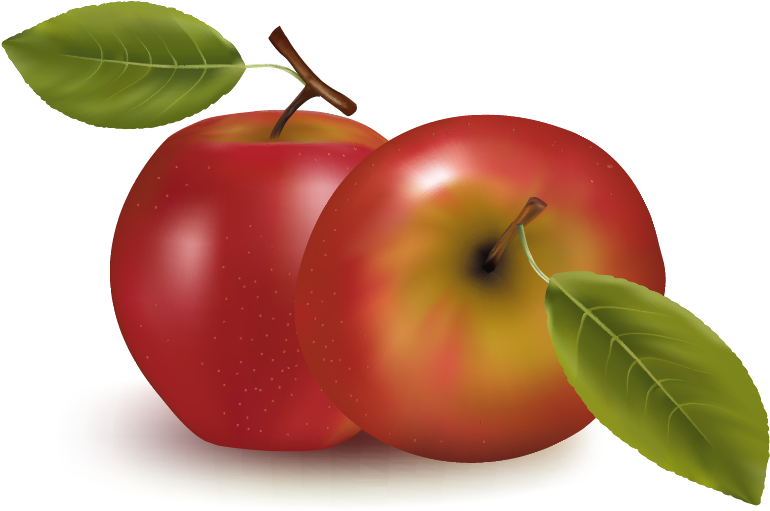Orange Apple Apricot Cherry Plum Png Images - Clipart Transparent Background Apple (850x553)