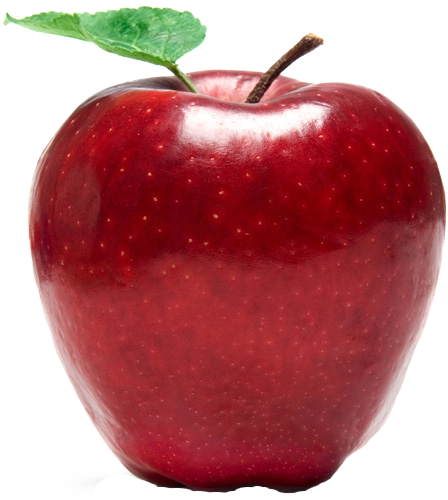 Psalm 17 8 Kjv (448x500)