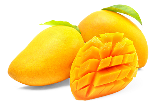 Buy Fresh Totapuri Mangoes Online Home Delivery Naturally - Transparent Background Mango Png (571x326)
