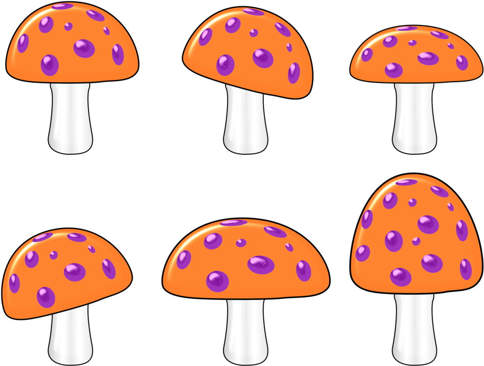 Hongos-07 By Bbvzla - Fungus (1032x774)