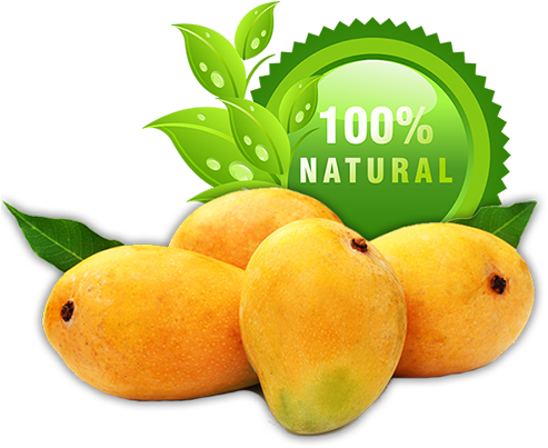 Buy Best Alphonso Mango Online - Leaf & Fiber 100 Count Natural Palm Leaf Oval Dinnerware (500x417)
