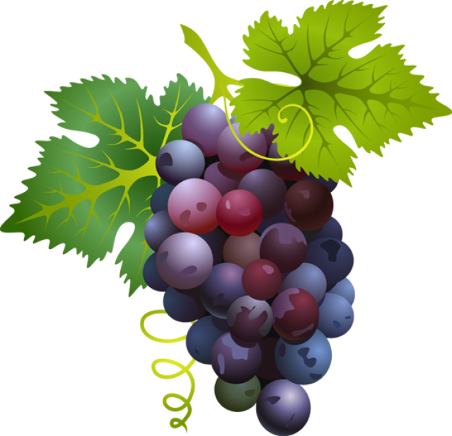 Pix For Red Grapes Clipart - Nutritional Value Of Grapes (639x616)