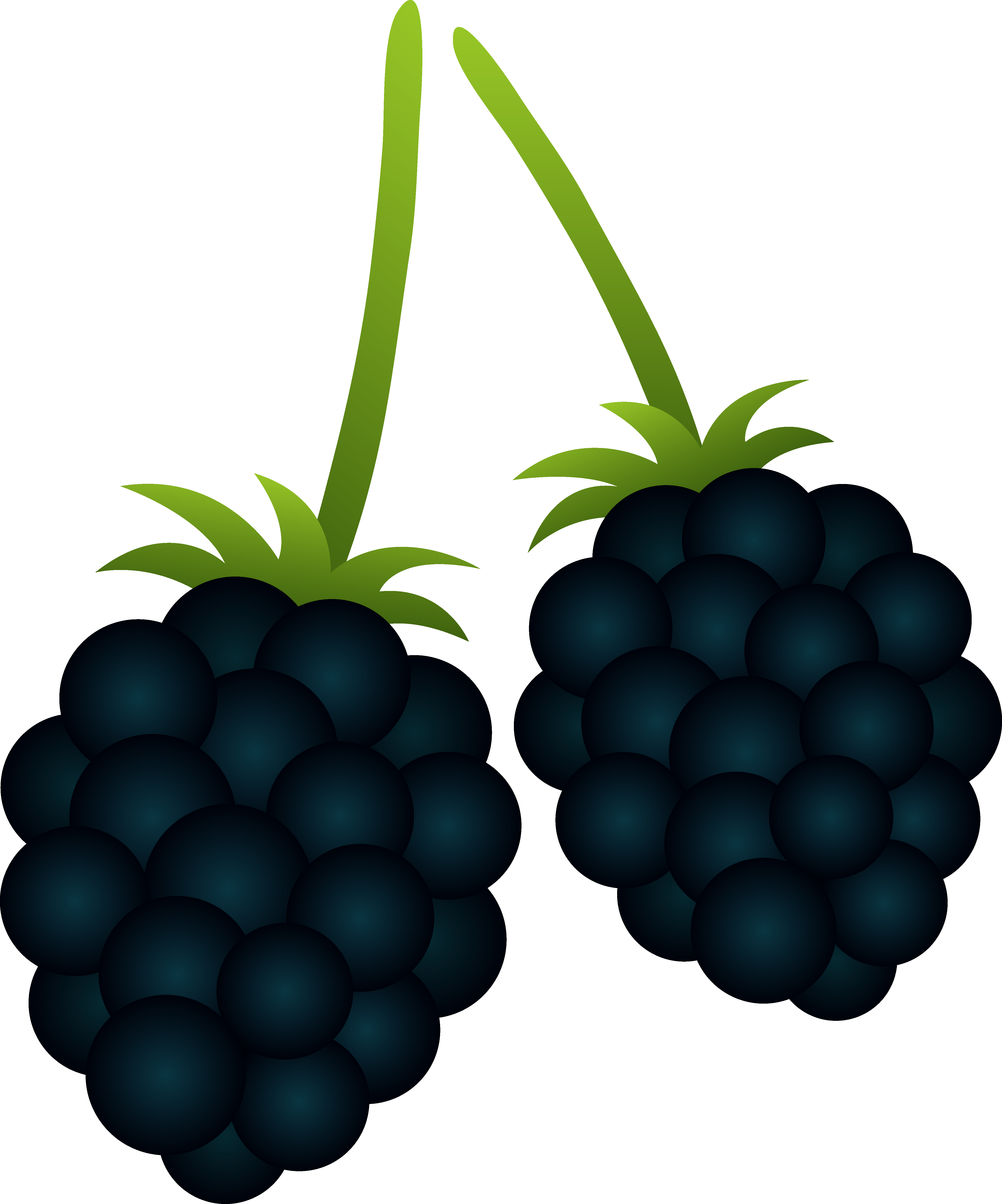 Marvelous Berry Clipart Two Blackberries Free Clip - Blackberry Clipart (4590x5515)