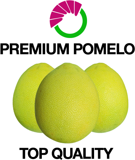 As A Wholesale Distributor, We Ensure That The Pomelos - Meldpunt (600x600)