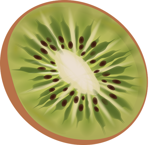 Free To Use & Public Domain Kiwi Fruit Clip Art - Kiwi Png (500x488)