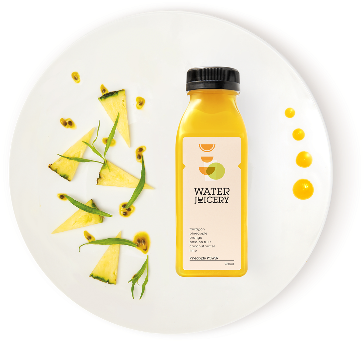 Cold - Water Juicery (1272x1127)