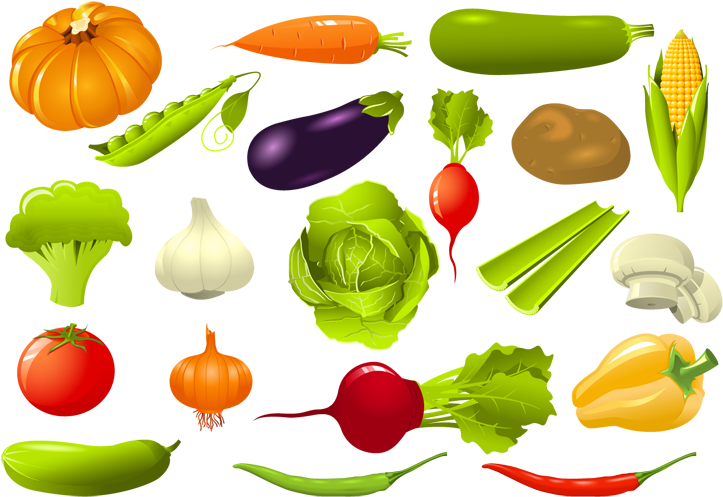 Vegetable Vector - Vegetable Group Clipart (800x600)