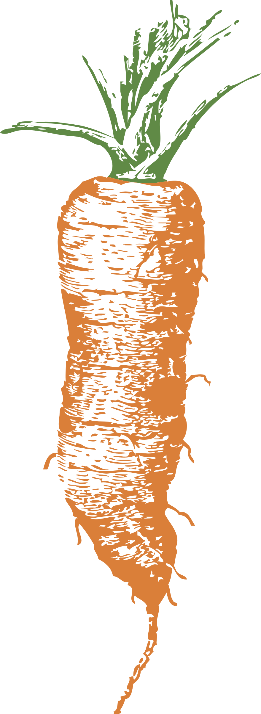 Big Image - Carrot (880x2400)