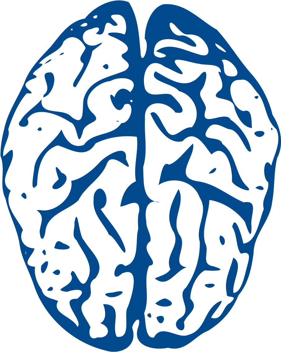Blue Brain Project Clip Art - Animated Brain (1600x1200)