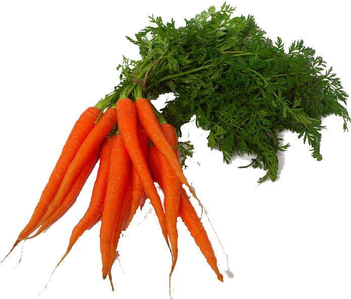 Carrot Clipart Leave - Transparent Vegetables Png (752x600)