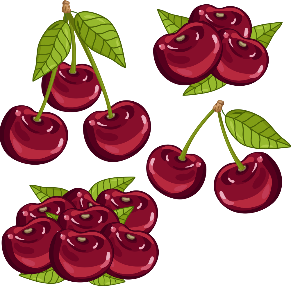 Cherry Auglis Cartoon - Цветы И Плоды Вишни Вектор (1000x1000)