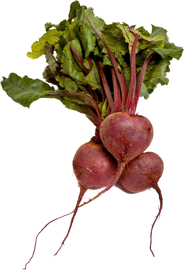 Beet Png Images Free Download - Bio Randen Rot Bund Schweiz (960x956)
