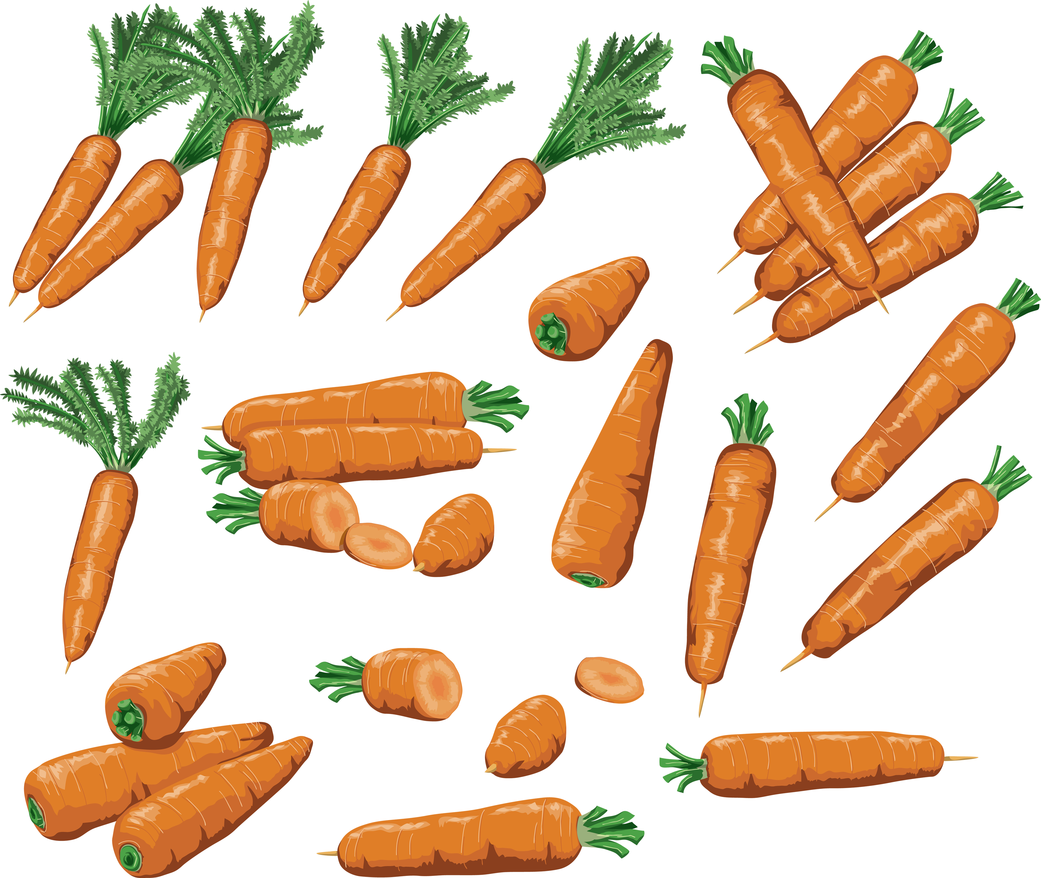 Carrots Png Image - Carrot (3472x2929)