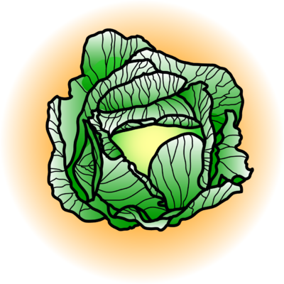 Cabbage Clip Art (400x400)
