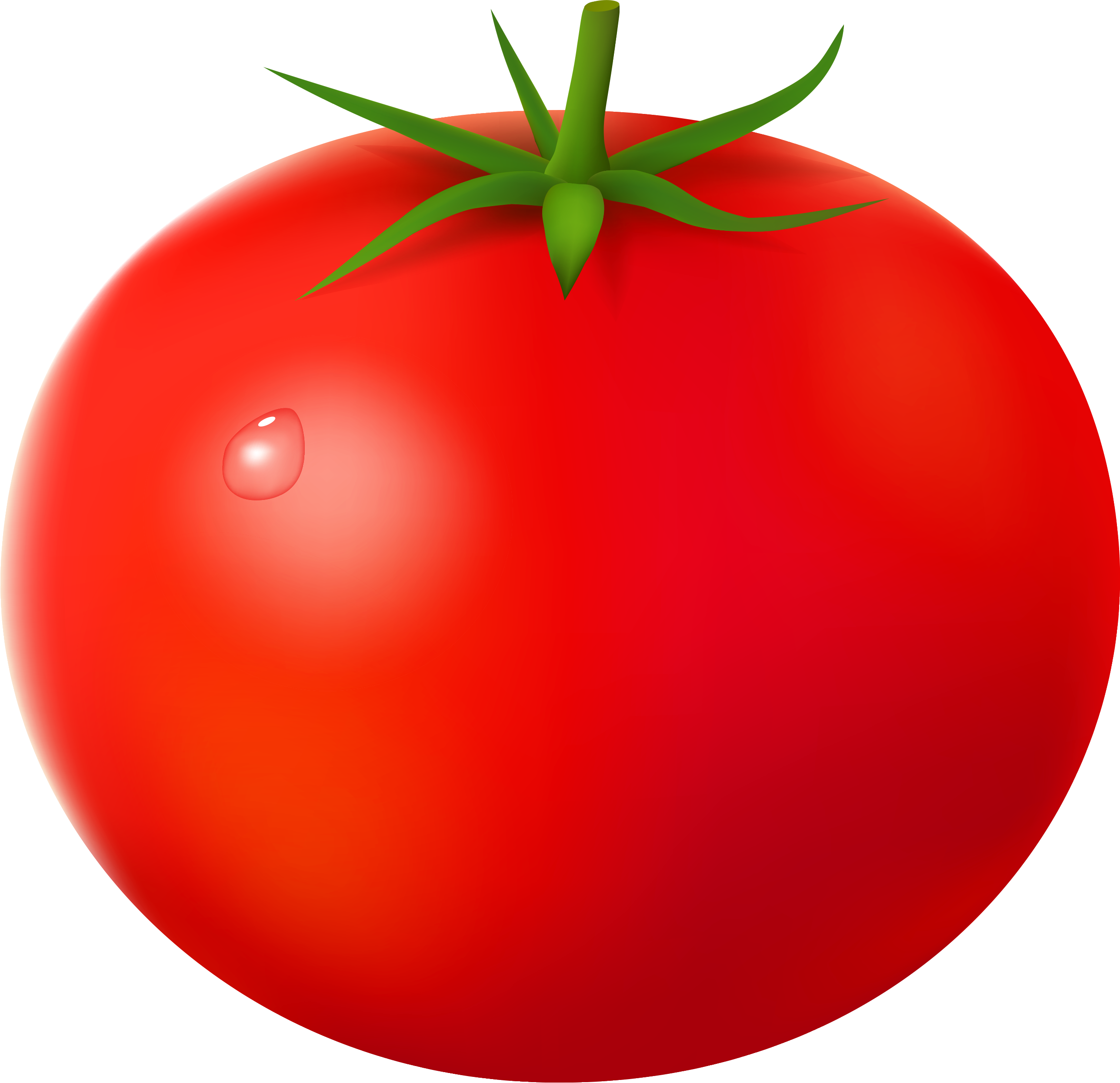 Tomato Png - Tomato Png (2576x2491)