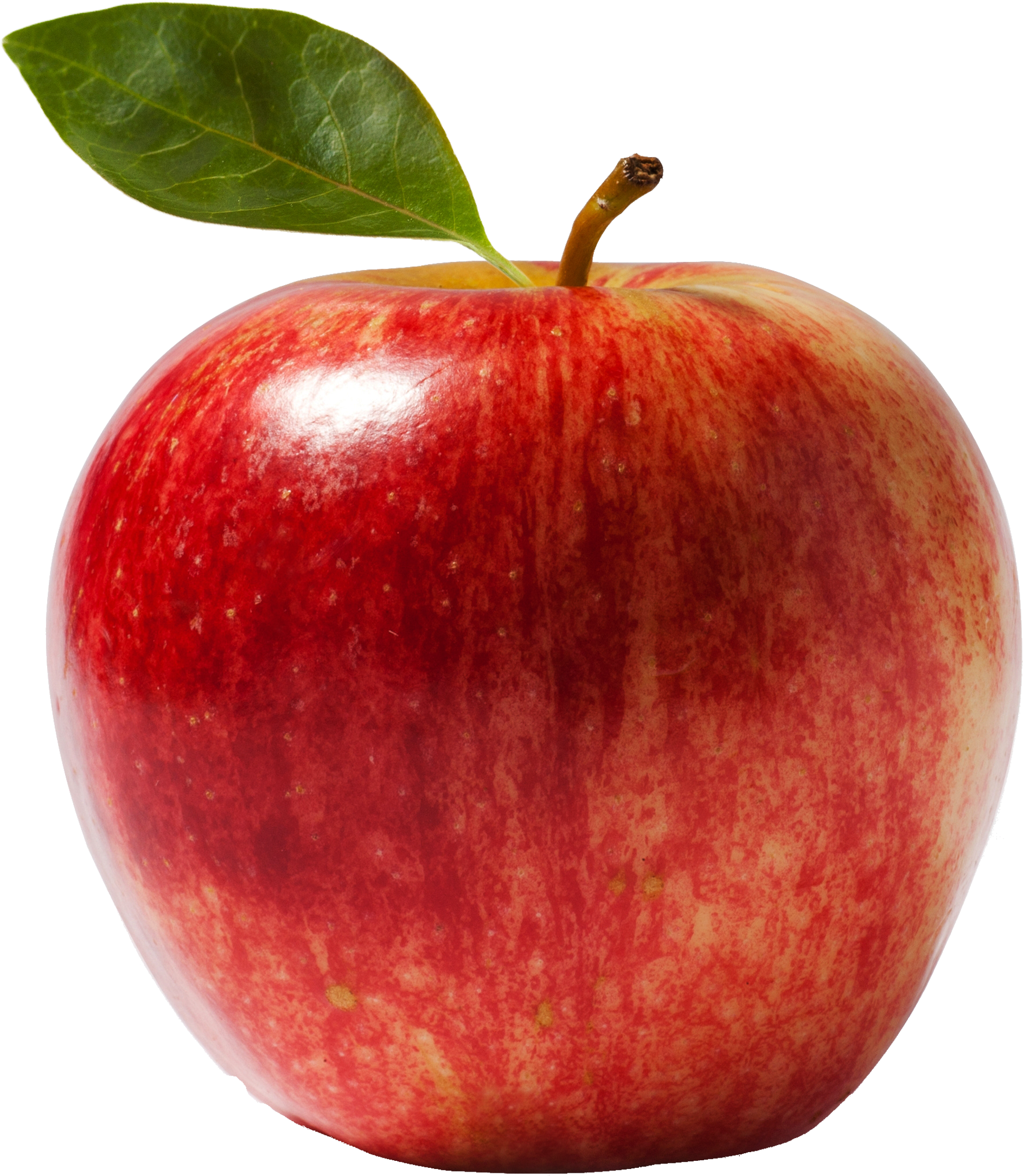 Apple Clipart Transparent Background - Apple Png (2040x2245)