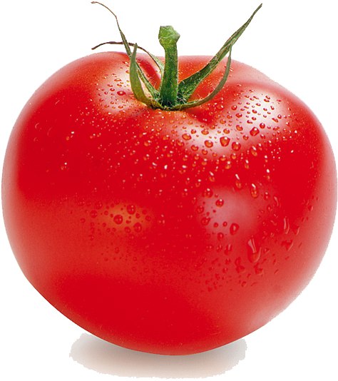 Download Free Transparent Png Image - Tomato Illustration (600x600)