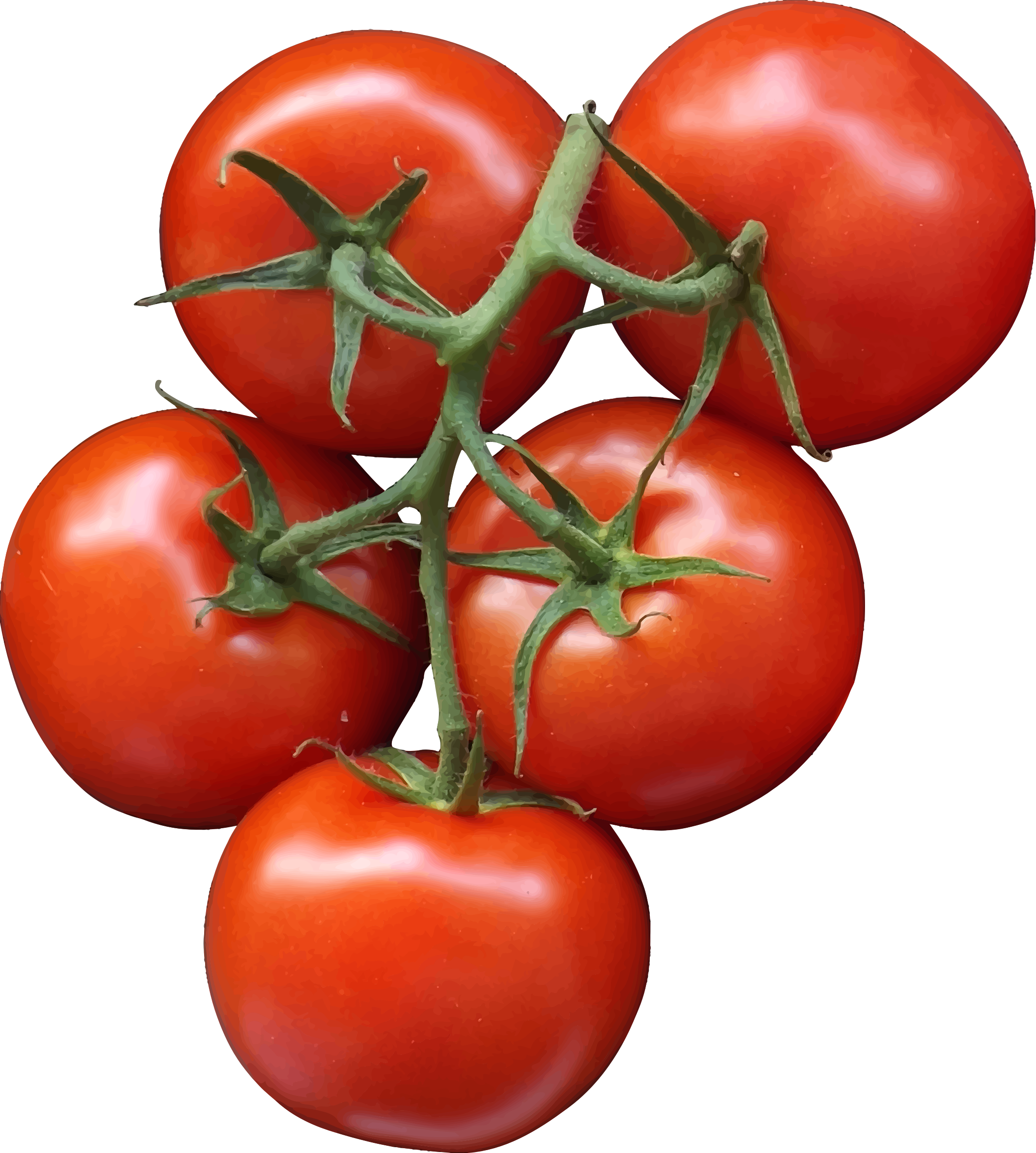 Tomatos Clipart - Tomatos Clipart (2157x2400)