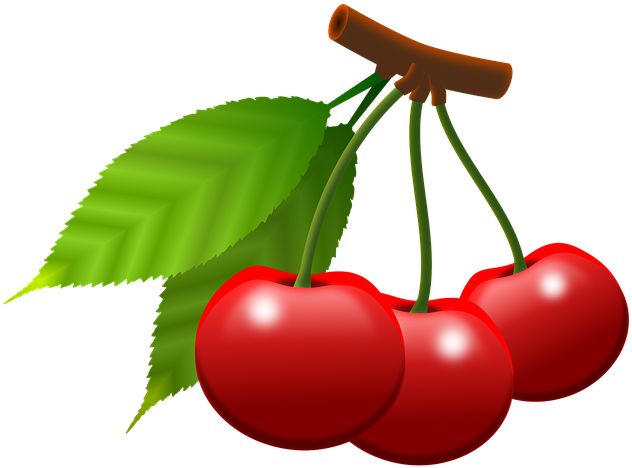 Cherries Cartoon 14, - 열매 일러스트 Png (720x720)