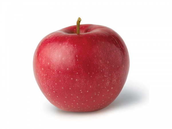 Apple The Food (600x600)