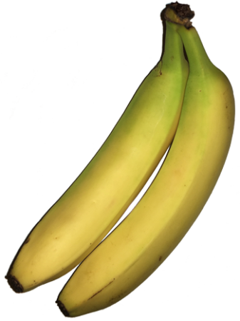 Bananas Should Be Available Almost Everywhere You Travel - Saba Banana (337x450)
