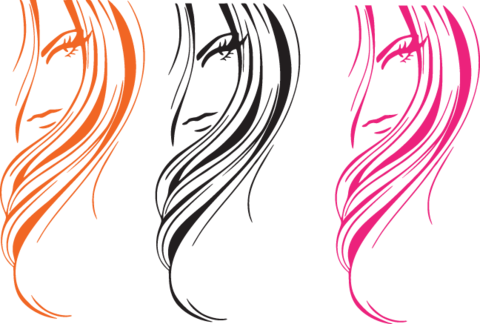 695 Stylized Woman's Hair - Beauty Salon Decor Woman Face Sticker Vinyl Wall Art, (480x324)